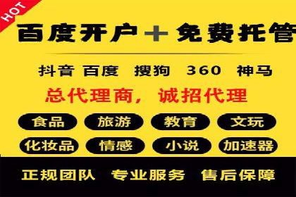 百度优化推广案例剖析：某电商平台的成功之路